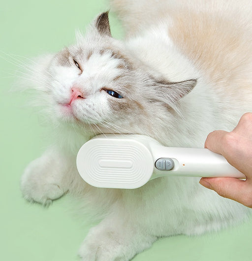 Pet Electric Massage Comb