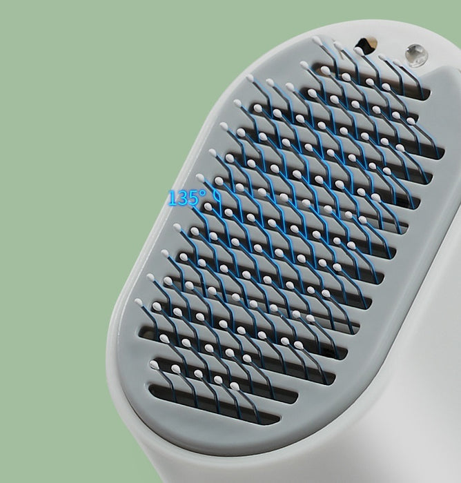 Pet Electric Massage Comb