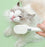 Pet Electric Massage Comb