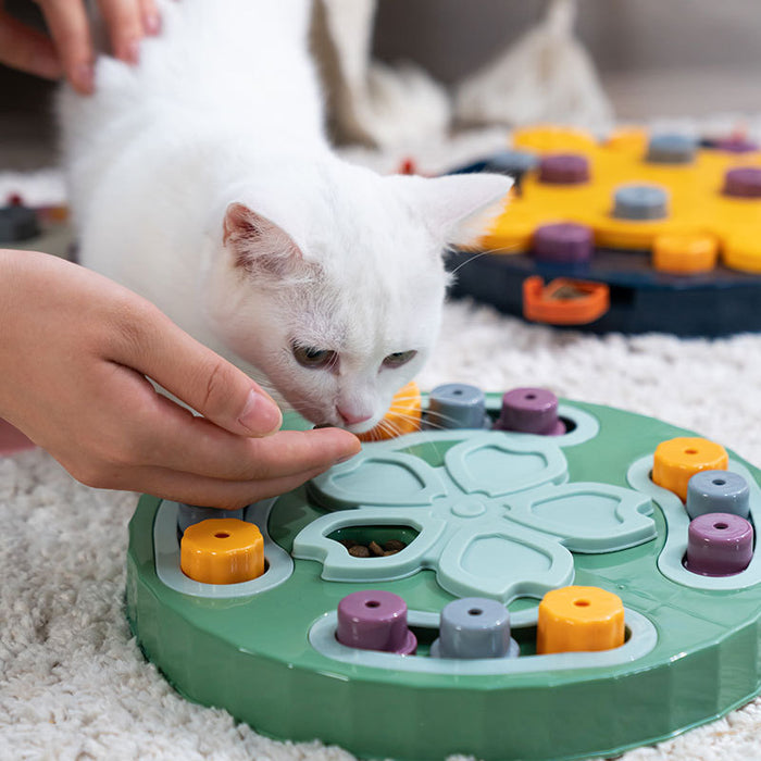 Interactive Educational Feeding Toys Slow Food Plate